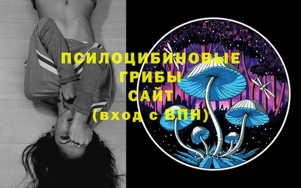 тгк Аркадак