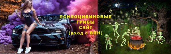 соль ск Армянск