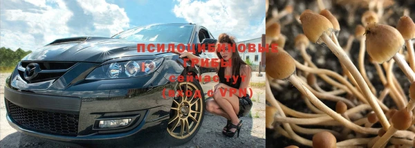 тгк Аркадак
